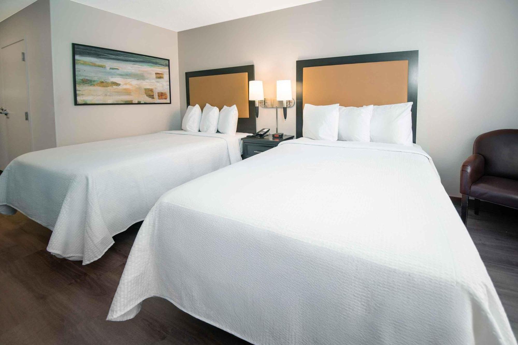 Studio 2 Queen Beds Non-Smoking