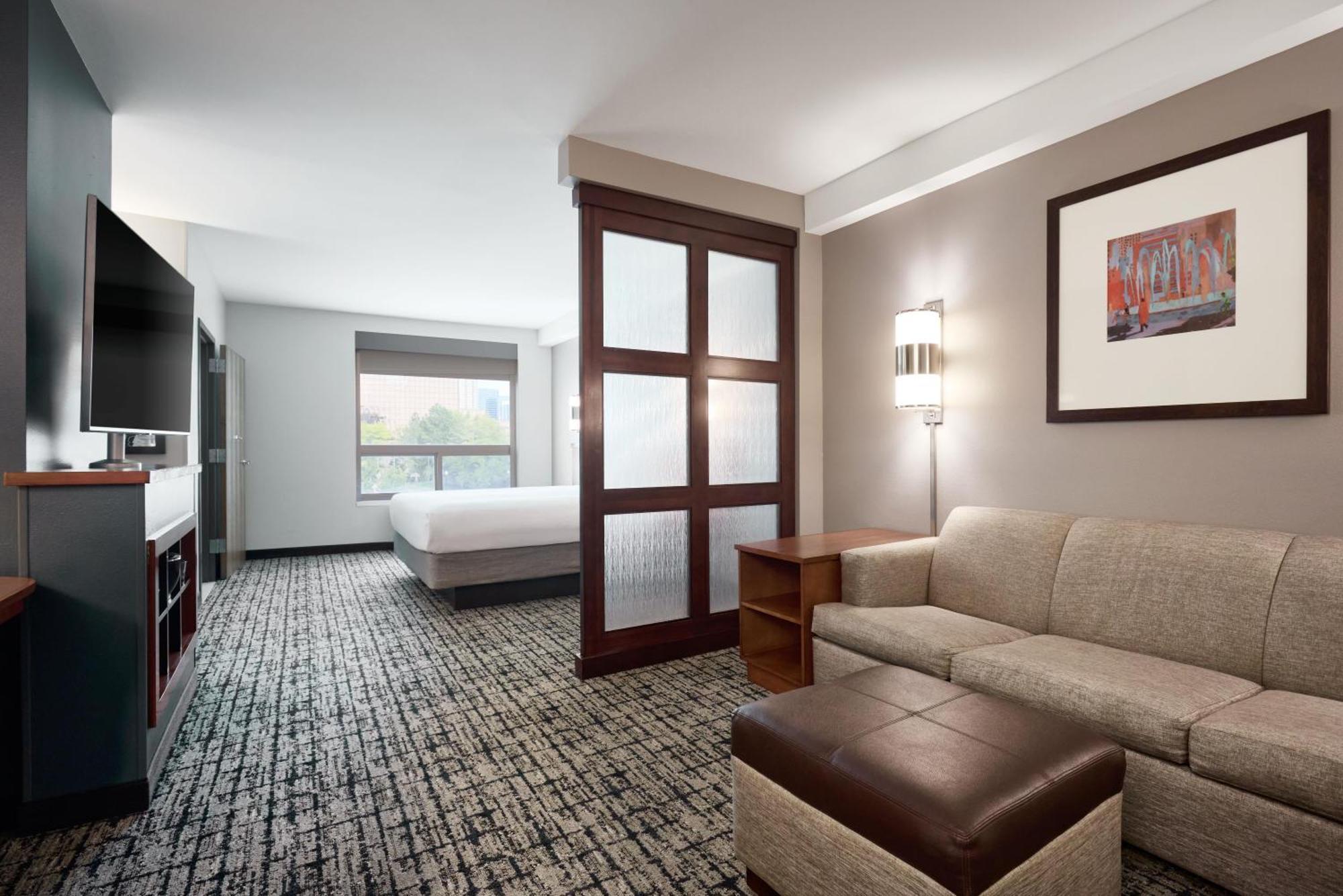 King Room Sofa Bed Accessible Tub Disability Access