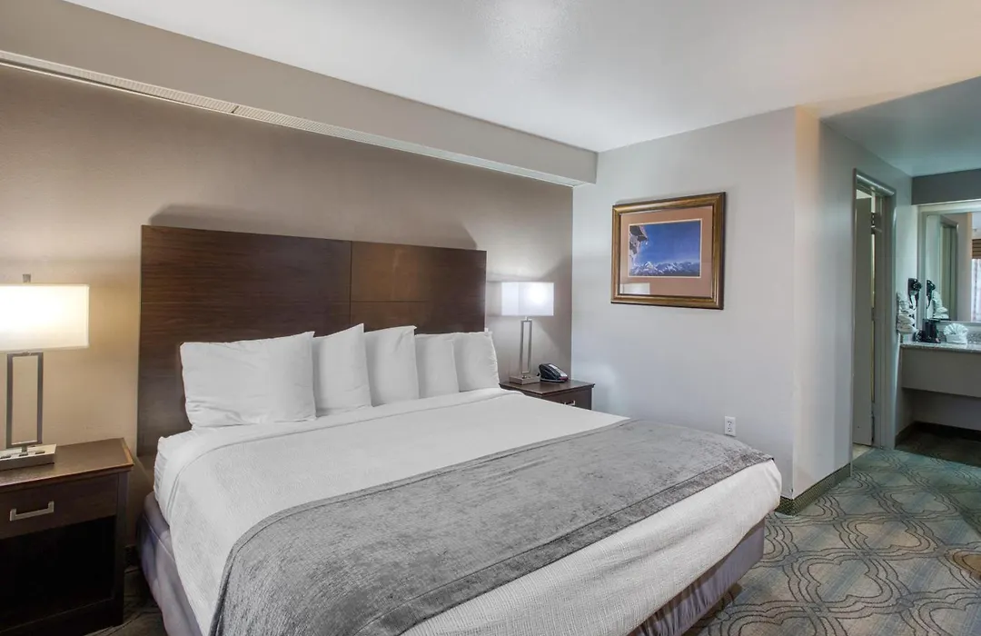 Surestay By Best Western Salt Lake City Downtown-1