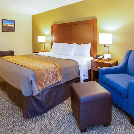 Comfort Inn Salt Lake City Downtown-3