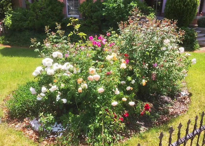 Historic Ellerbeck Mansion Bed & Breakfast Salt Lake City